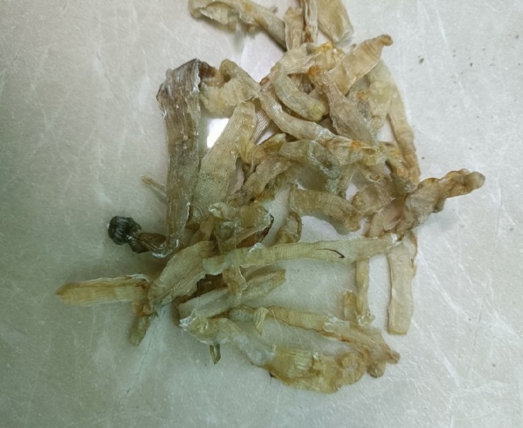 Sá sùng khô nước phở (loại 1)